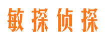 怀化捉小三公司